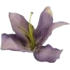 🤩 Эмодзи «Garden» для Telegram