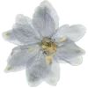 🤩 Эмодзи «Garden» для Telegram