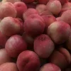🤩 Эмодзи «Garden» для Telegram