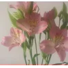 🤩 Эмодзи «Garden» для Telegram