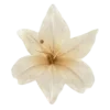 🤩 Эмодзи «Garden» для Telegram
