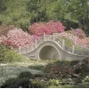 🤩 Эмодзи «Garden» для Telegram