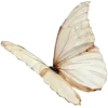 🤩 Эмодзи «Garden» для Telegram