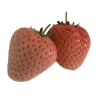 🤩 Эмодзи «Garden» для Telegram