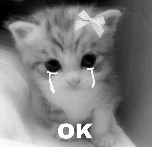😐 Стикер «couldy cat могучий кот» для Telegram
