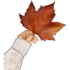 🍁 Эмодзи «💌 Набор эмоджи с уютным рандомчиком» для Telegram