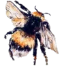 🐝 Эмодзи «💌 Набор эмоджи с уютным рандомчиком» для Telegram