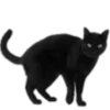 🐈‍⬛ Эмодзи «💌 Набор эмоджи с уютным рандомчиком» для Telegram
