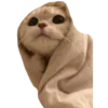 🐈 Эмодзи «💌 Набор эмоджи с уютным рандомчиком» для Telegram