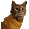🐈 Эмодзи «💌 Набор эмоджи с уютным рандомчиком» для Telegram