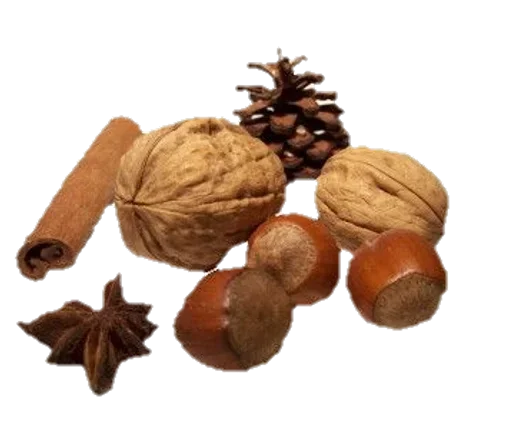 🌰 Стикер «cozy_aesthetic» для Telegram