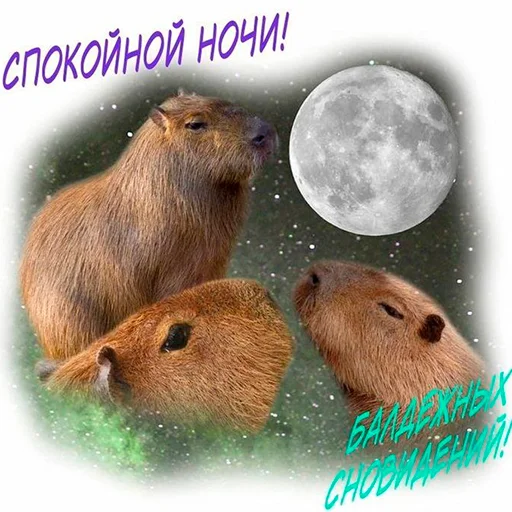 💋 Стикер «Capybara&;s world» для Telegram
