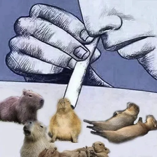 💊 Стикер «Capybara&;s world» для Telegram