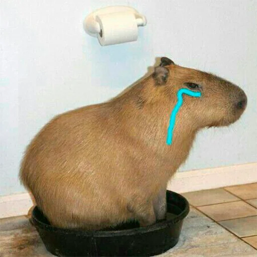 😢 Стикер «Capybara&;s world» для Telegram