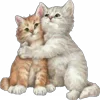 🫂 Эмодзи «Cqtte» для Telegram