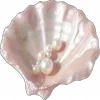 🐚 Эмодзи «Cqtte» для Telegram