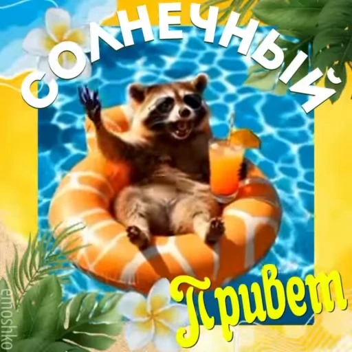 🍹 Стикер «Утро и День» для Telegram