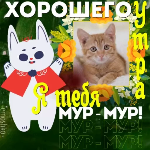🐱 Стикер «Утро и День» для Telegram