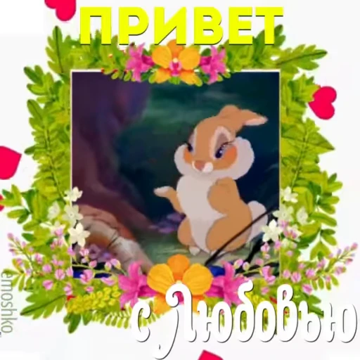 💐 Стикер «Утро и День» для Telegram