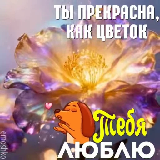 ❤️ Стикер «Утро и День» для Telegram