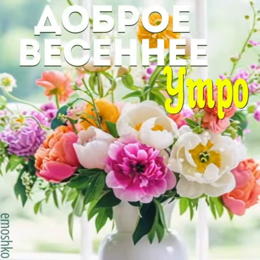 ☀️ Стикер «Утро и День» для Telegram