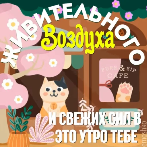 💥 Стикер «Утро и День» для Telegram