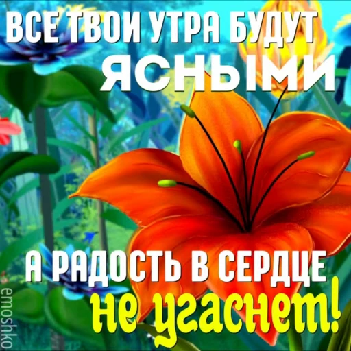 🦋 Стикер «Утро и День» для Telegram