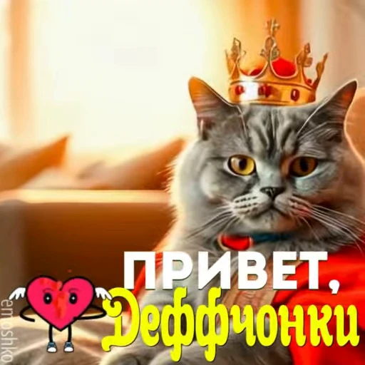 🤚 Стикер «Утро и День» для Telegram
