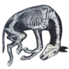 🐎 Эмодзи «Creature Feature» для Telegram