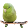 🦜 Эмодзи «Creature Feature» для Telegram