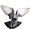 🕊 Эмодзи «Creature Feature» для Telegram