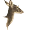 🦌 Эмодзи «Creature Feature» для Telegram