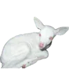 🦌 Эмодзи «Creature Feature» для Telegram