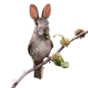 🐇 Эмодзи «Creature Feature» для Telegram