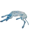 🦕 Эмодзи «Creature Feature» для Telegram