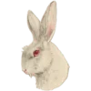🐇 Эмодзи «Creature Feature» для Telegram