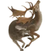 🦌 Эмодзи «Creature Feature» для Telegram
