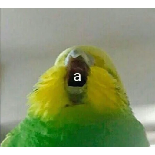 Стикерпак CriNgE AnimALs для Telegram — скачать