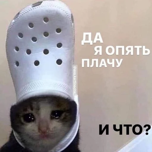 Стикерпак Crying cats v. 2 для Telegram — скачать