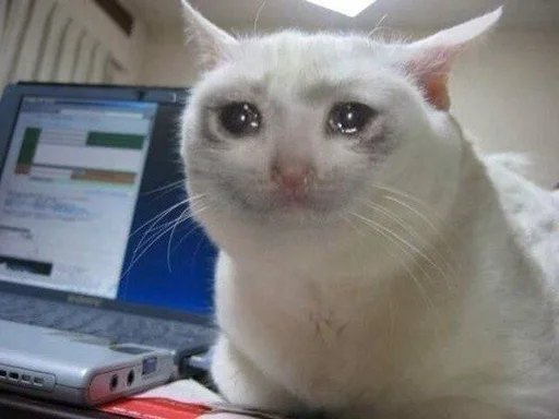 ☹️ Стикер «Crying cats v. 2» для Telegram