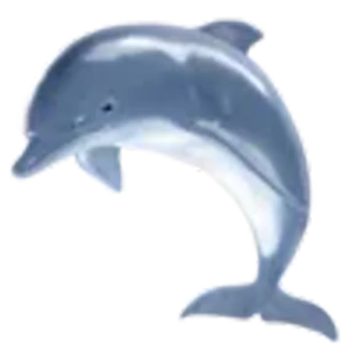 🐬 Эмодзи «wonderland - рандомные кьют эмодзи» для Telegram