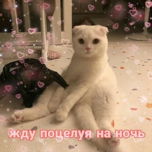 🙁 Стикер «Crumple in bed» для Telegram