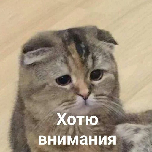 🙁 Стикер «Crumple in bed» для Telegram