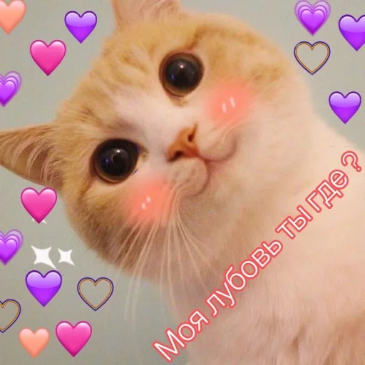☺️ Стикер «Crumple in bed» для Telegram