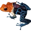 🫥 Эмодзи «Frog» для Telegram