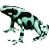 🫥 Эмодзи «Frog» для Telegram