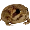 🫥 Эмодзи «Frog» для Telegram