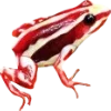 🫥 Эмодзи «Frog» для Telegram