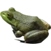 🫥 Эмодзи «Frog» для Telegram