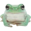🫥 Эмодзи «Frog» для Telegram
